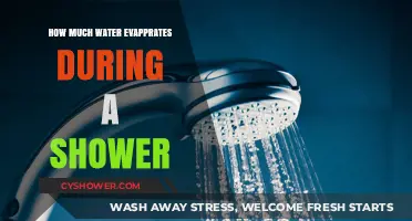 Shower Water Loss: Understanding Evaporation During Your Daily Rinse