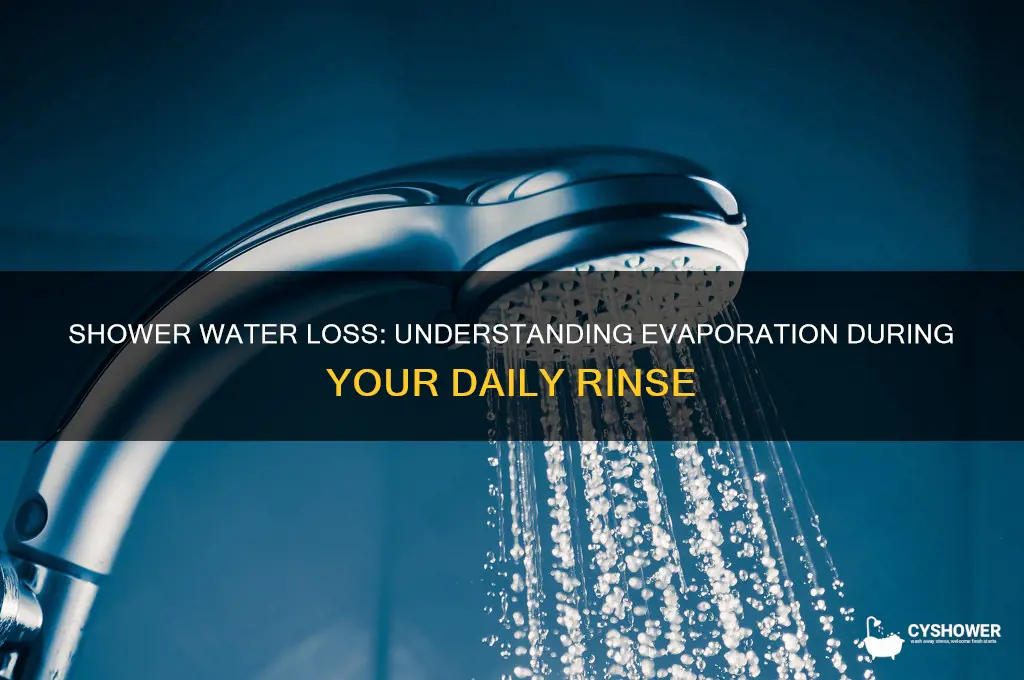 how much water evapprates during a shower