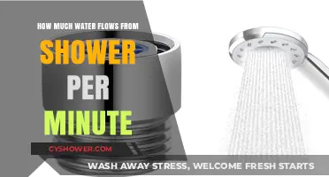 Measuring Shower Water Flow: How Much Water Flows Per Minute?