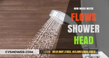 Measuring Shower Head Water Flow: Tips for Efficient Usage