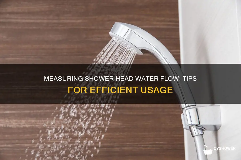 how much water flows shower head