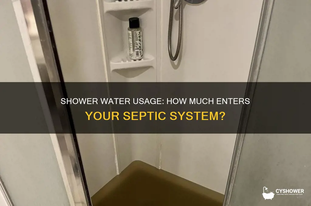 how much water from shower goes into septic