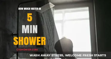 Quick Showers, Big Impact: Water Usage in a 5-Minute Shower