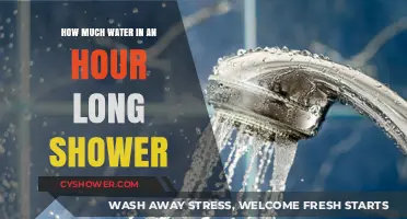 Hour-Long Showers: Surprising Water Usage and Conservation Tips