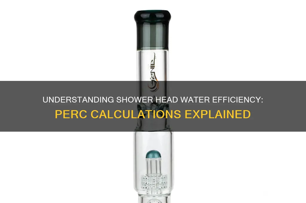 how much water in shower head perc