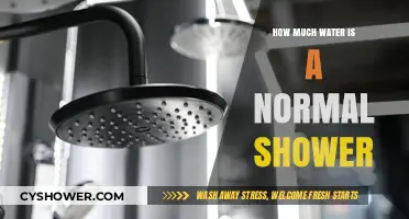 Understanding Normal Shower Water Usage: A Practical Guide for Efficiency