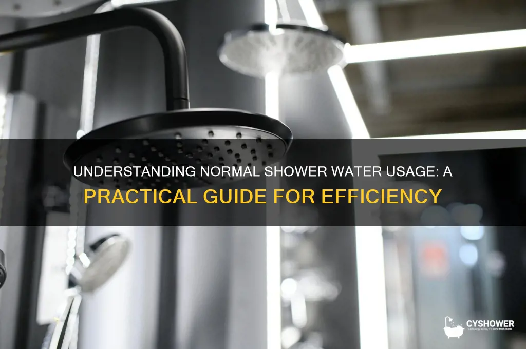 how much water is a normal shower