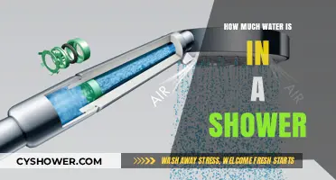Measuring Shower Water Usage: How Much Water Flows in Each Shower?