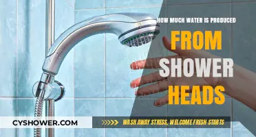 Measuring Shower Head Water Output: Efficiency and Conservation Tips
