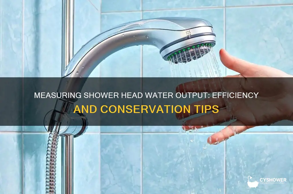 how much water is produced from shower heads