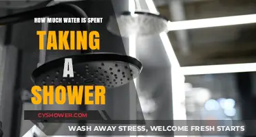 Shower Water Usage: How Much is Spent in Every Bath?