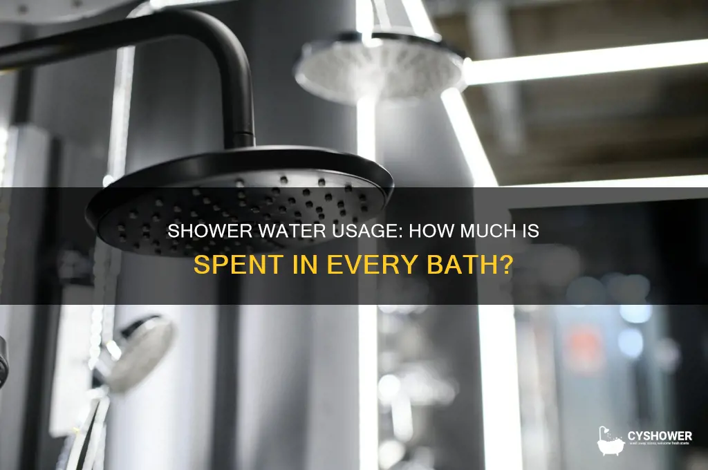 how much water is spent taking a shower