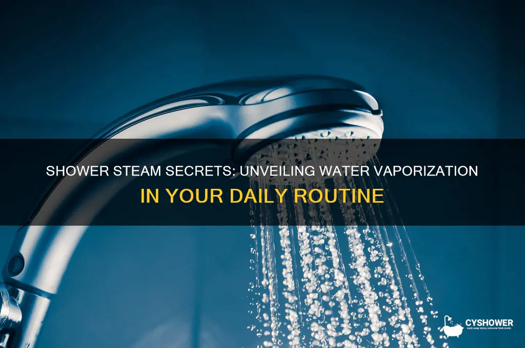 how much water is vaporized during a shower