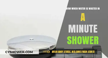 Shocking Water Waste: How Much Disappears in a Minute Shower?