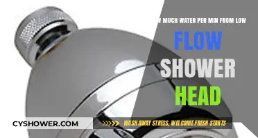 Low Flow Shower Heads: Water Usage Per Minute Explained