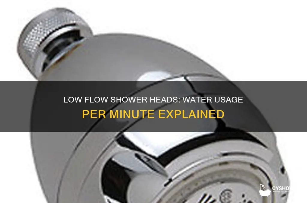 how much water per min from low flow shower head