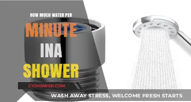 Shower Water Usage: How Much Water Flows Per Minute?