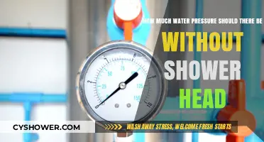 Optimal Water Pressure Levels for Showers Without a Shower Head