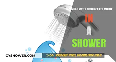 Shower Water Usage: Calculating Your Per-Minute Consumption