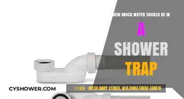 Optimal Water Level in Shower Traps: A Guide to Prevent Clogs