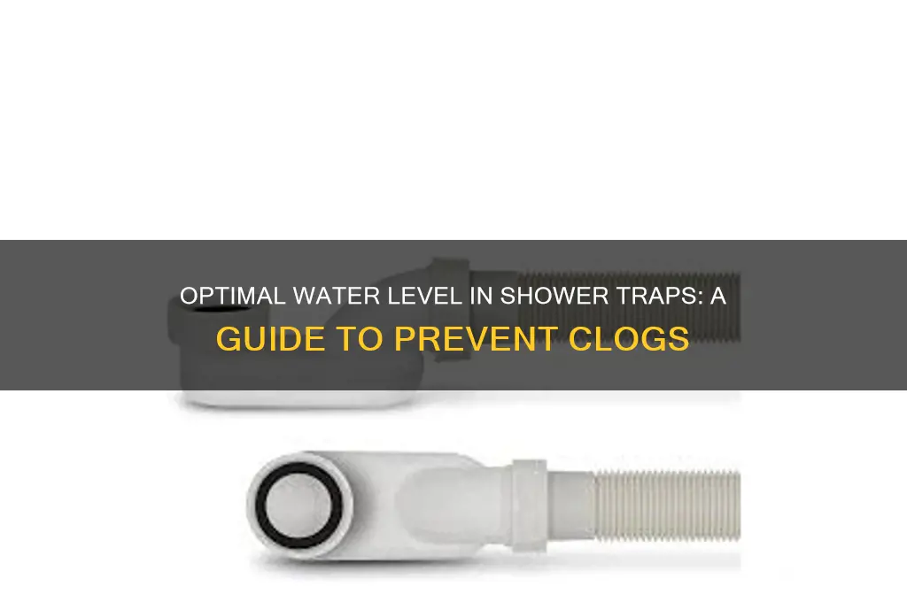 how much water should be in a shower trap