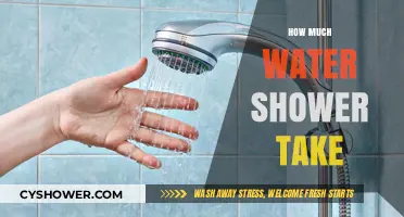 How Much Water Does Your Shower Consume? A Usage Breakdown