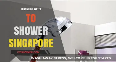 Efficient Showering in Singapore: Optimal Water Usage Tips and Tricks