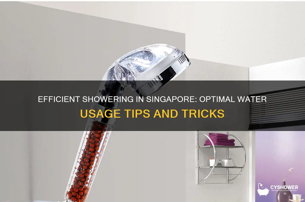 how much water to shower singapore