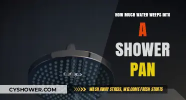 Understanding Shower Pan Water Seepage: Causes, Risks, and Prevention Tips