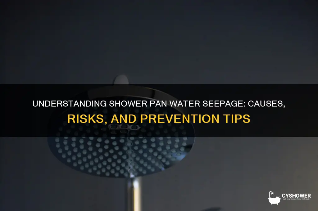 how much water weeps into a shower pan