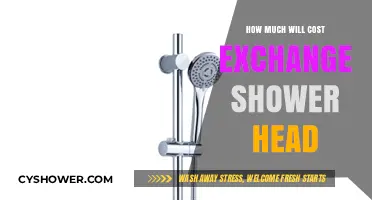 Budget-Friendly Shower Head Replacement: Cost Breakdown and Savings Tips