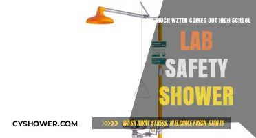 Ensuring Safety: Water Usage in High School Lab Showers