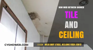 Preventing Mold: Fixing Mud Buildup Between Shower Tile and Ceiling