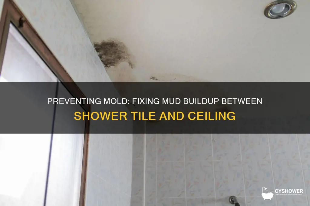 how mud between shower tile and ceiling