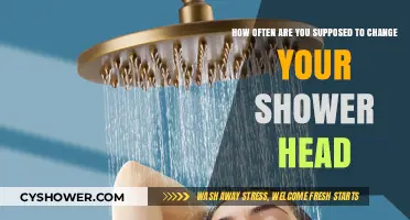 Shower Head Replacement: How Often Should You Change It?