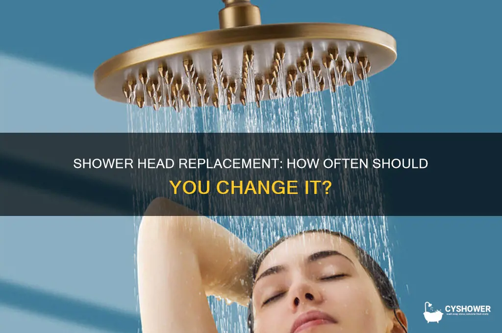 how often are you supposed to change your shower head