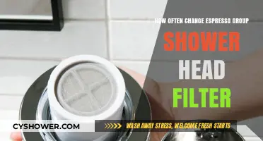 When to Replace Your Espresso Group Shower Head Filter for Optimal Brewing