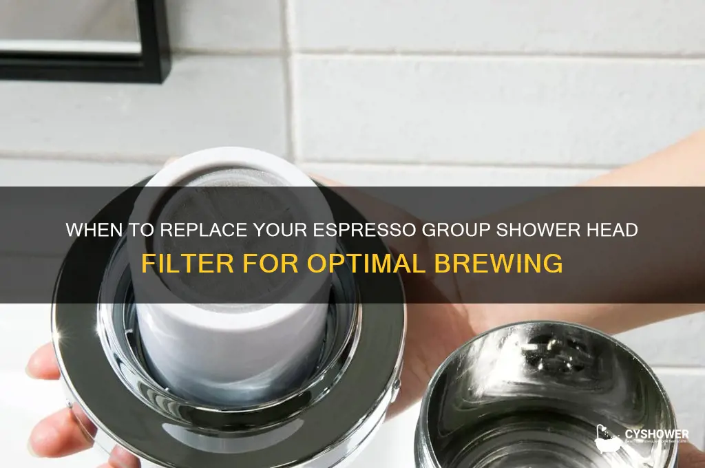 how often change espresso group shower head filter