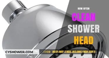 How Often Should You Clean Your Shower Head?
