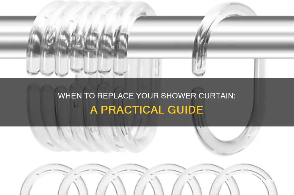 how often do i replace my shower curtain