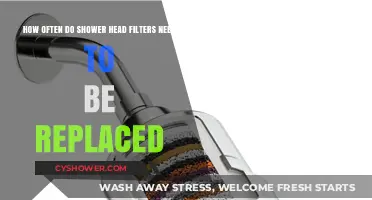 Shower Head Filter Replacement: How Often Should You Change It?