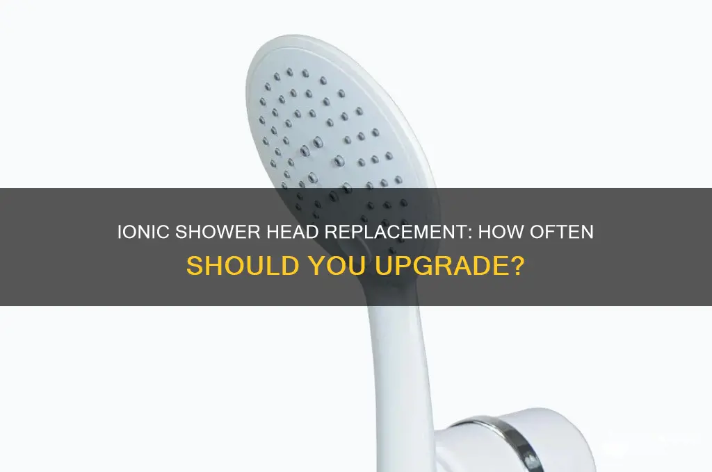how often do you have to replace ionic shower heads