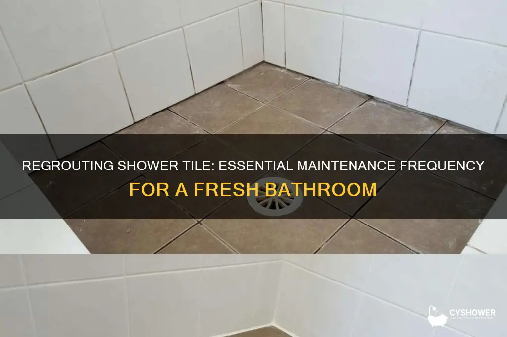 how often do you need to regrout shower tile