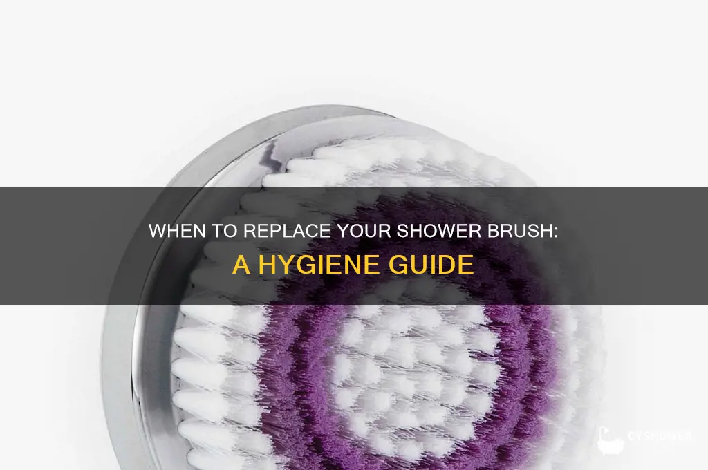 how often do you replace shower brush