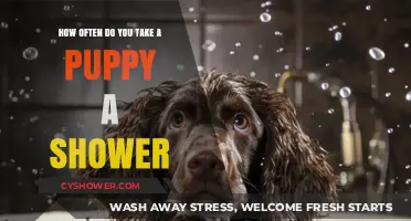 Puppy Bath Time: How Often Should You Shower Your Pup?