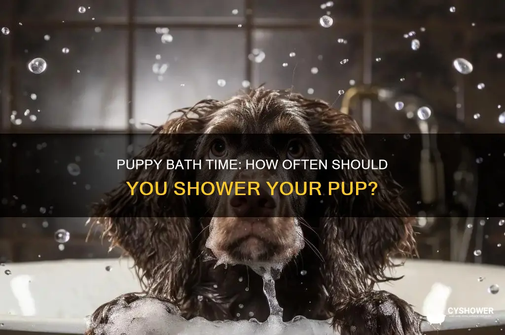 how often do you take a puppy a shower