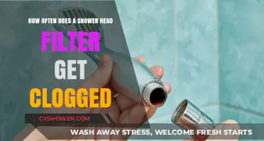How Often Do Shower Head Filters Clog and Why?