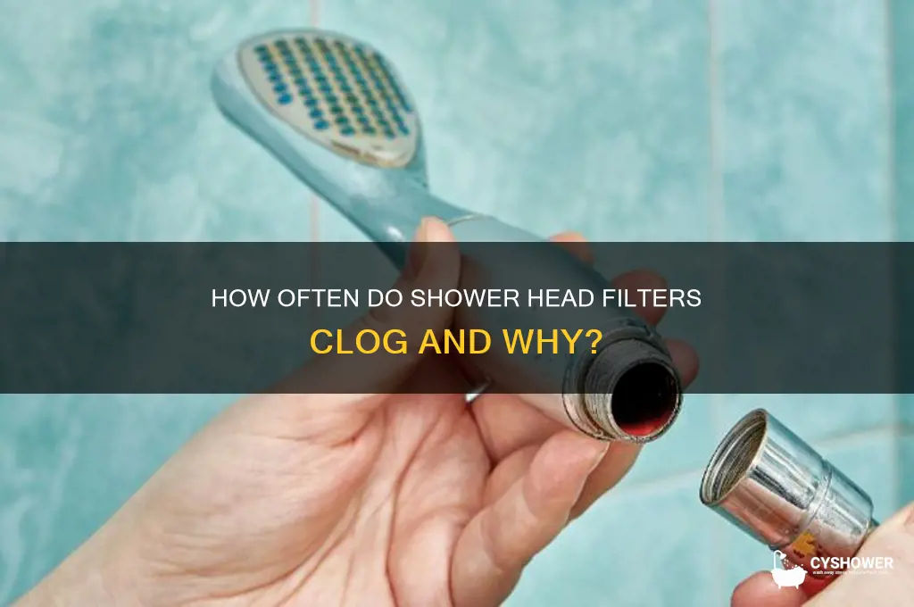 how often does a shower head filter get clogged