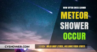 Leonid Meteor Shower Frequency: When and How Often It Occurs