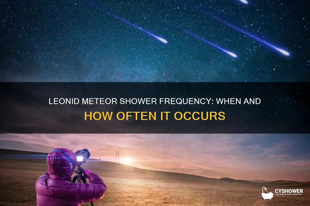 how often does leonid meteor shower occur